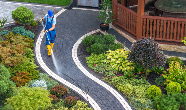 Best Affordable Power Washing  in Syracuse, IN